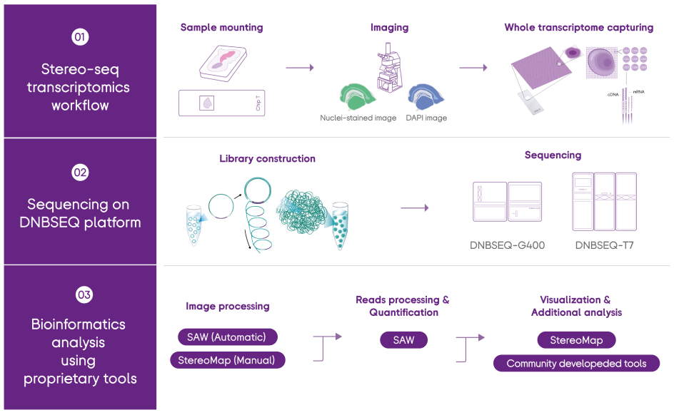 Tissue to Data End-to-end STOmics Solution